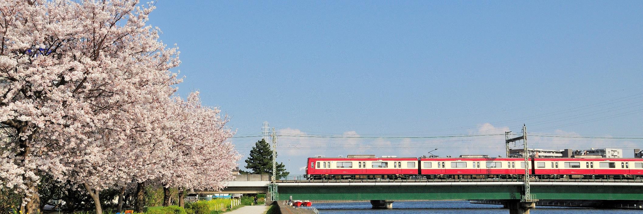 NaoHama's banner