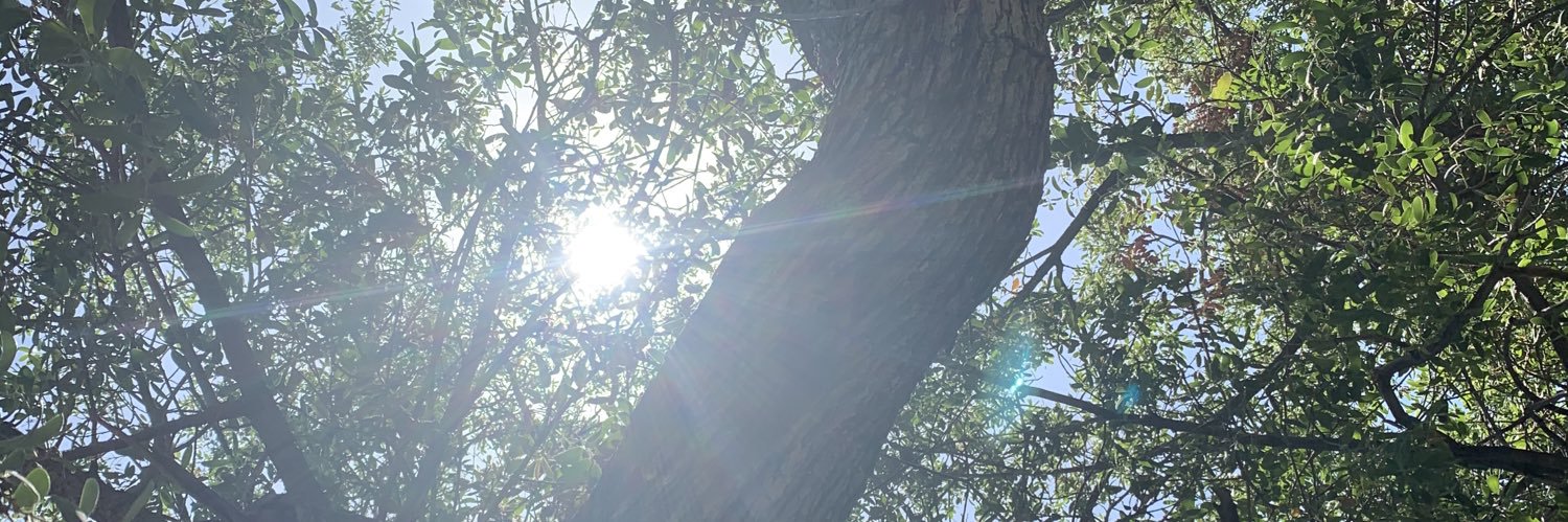 Ty_IrvIng_2's profile banner image