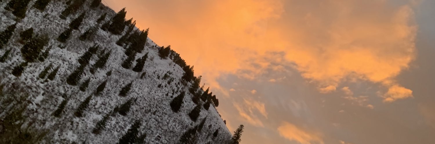 pettykath13's profile banner image