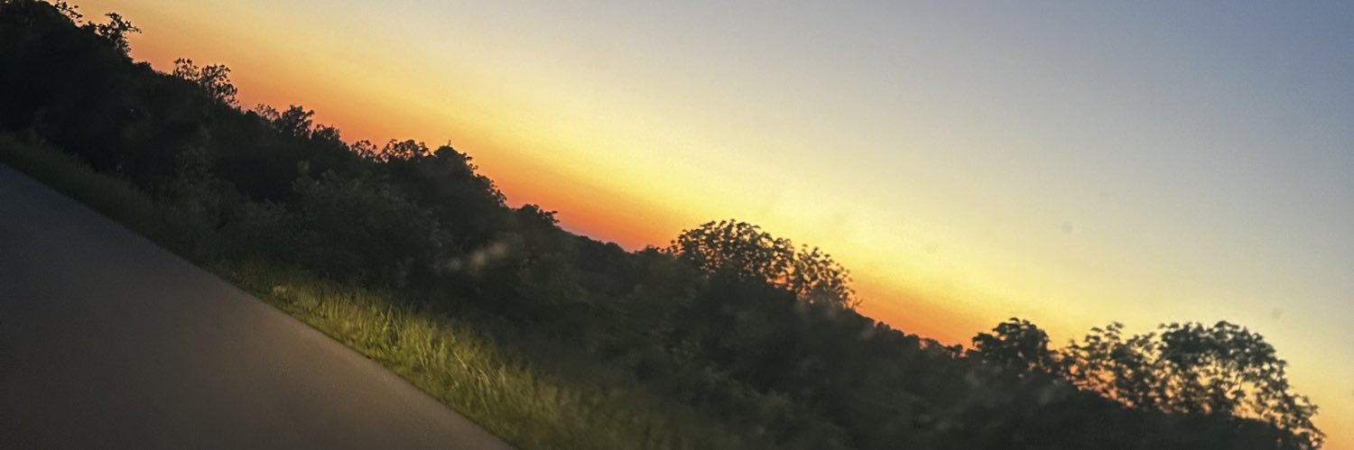 libwilliams22's profile banner image