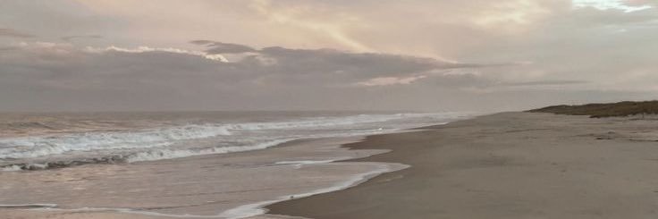erickacote_'s profile banner image