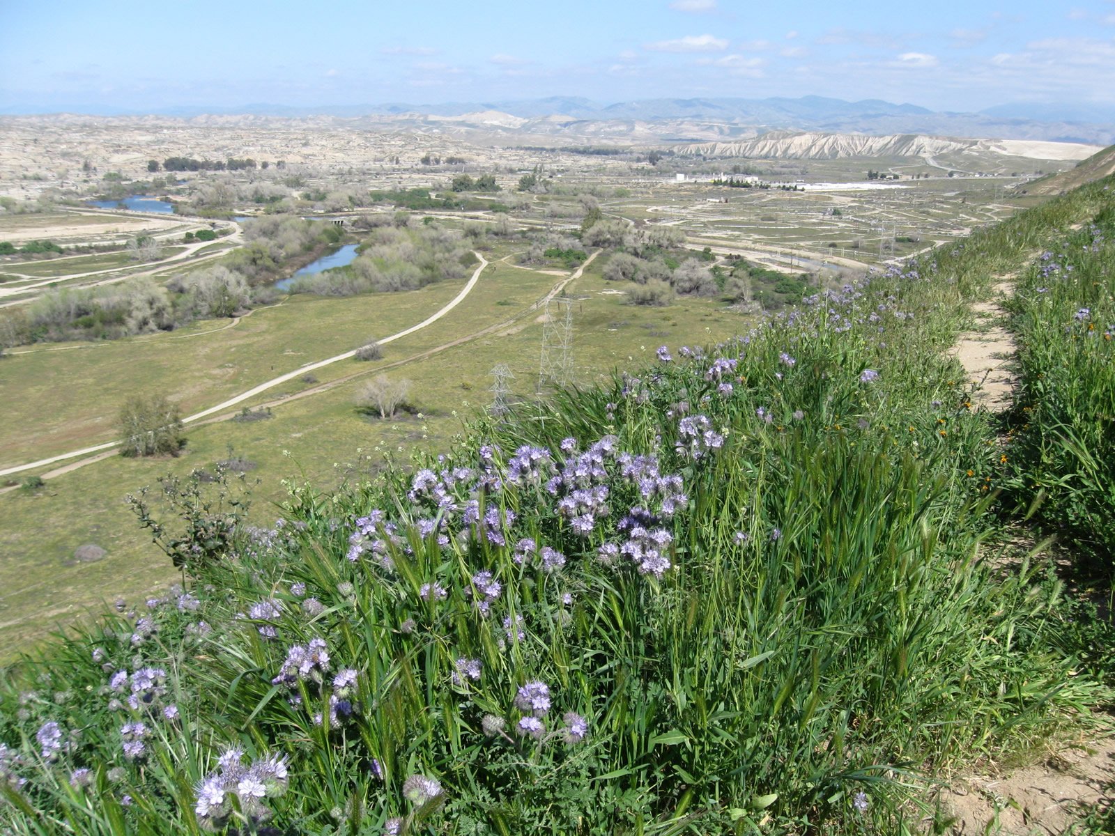 rafael mario romero banner