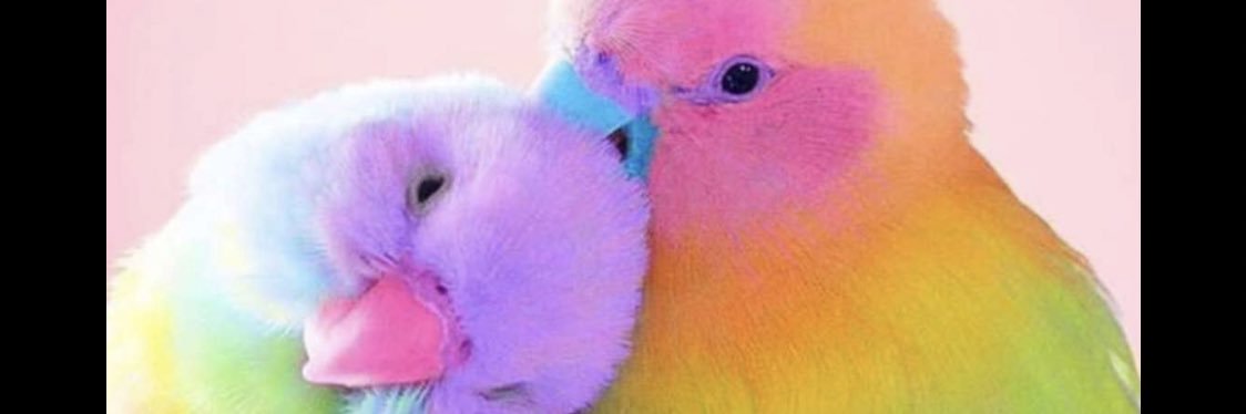 Bssoma5's profile banner image