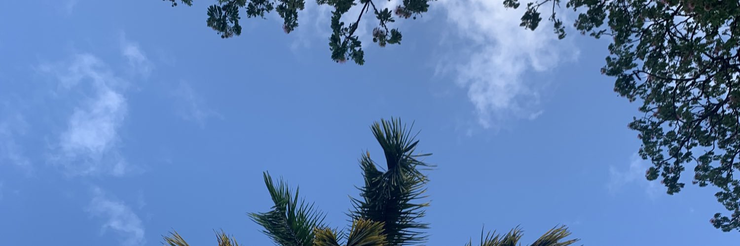 irisxjcp's profile banner image