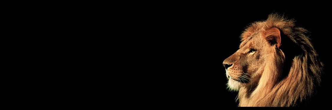 moam_jayden's profile banner image