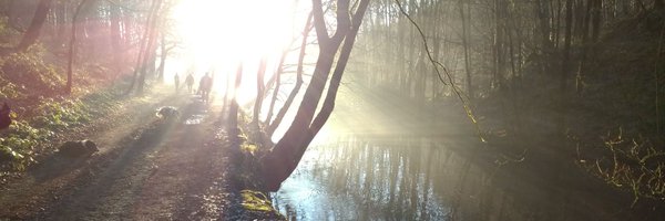 jemarshall13 Profile Banner