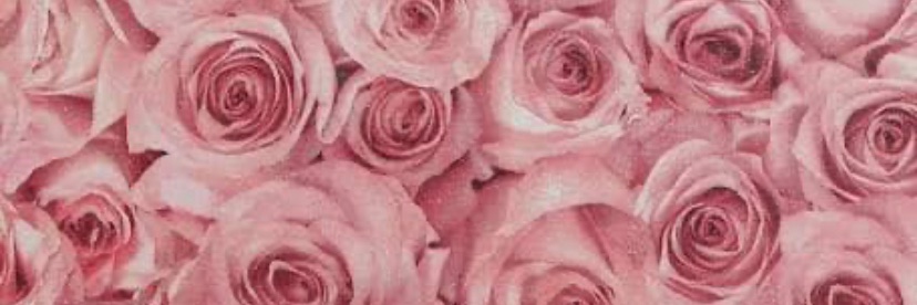heyitskachell's profile banner image
