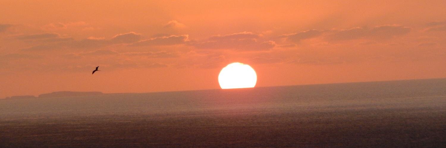 Sunset en Vallarta banner