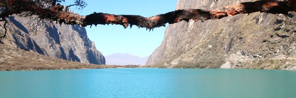 KateKearney4 Profile Banner