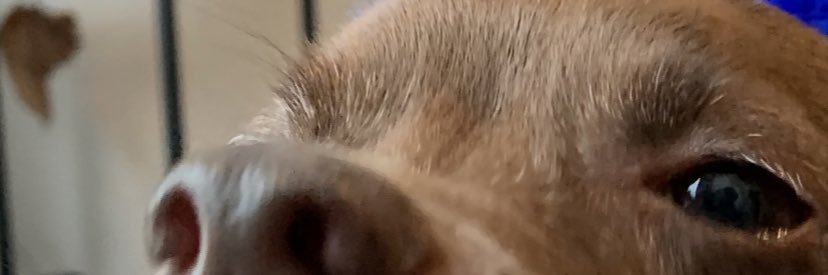 daybed5's profile banner image