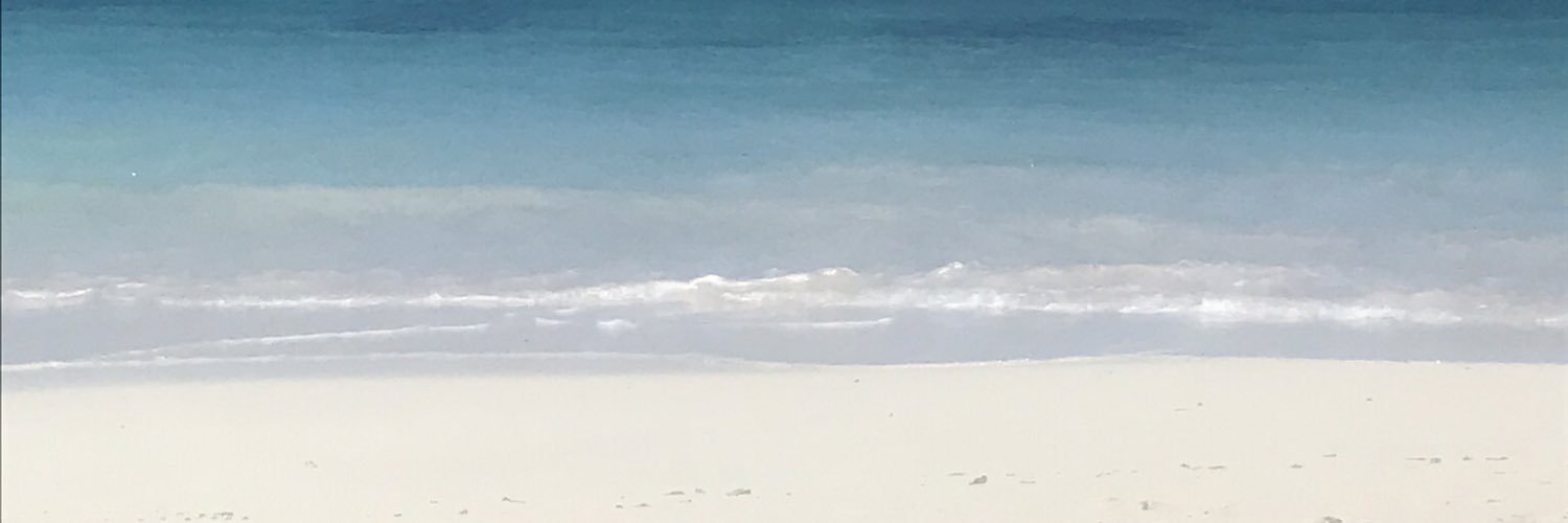 slburch10's profile banner image