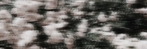_Xsaii's profile banner image