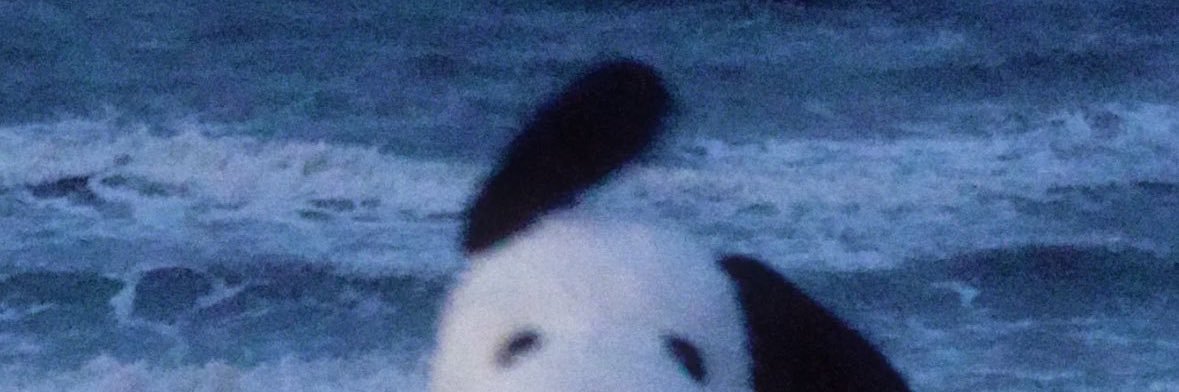Ivannafuckyou's profile banner image