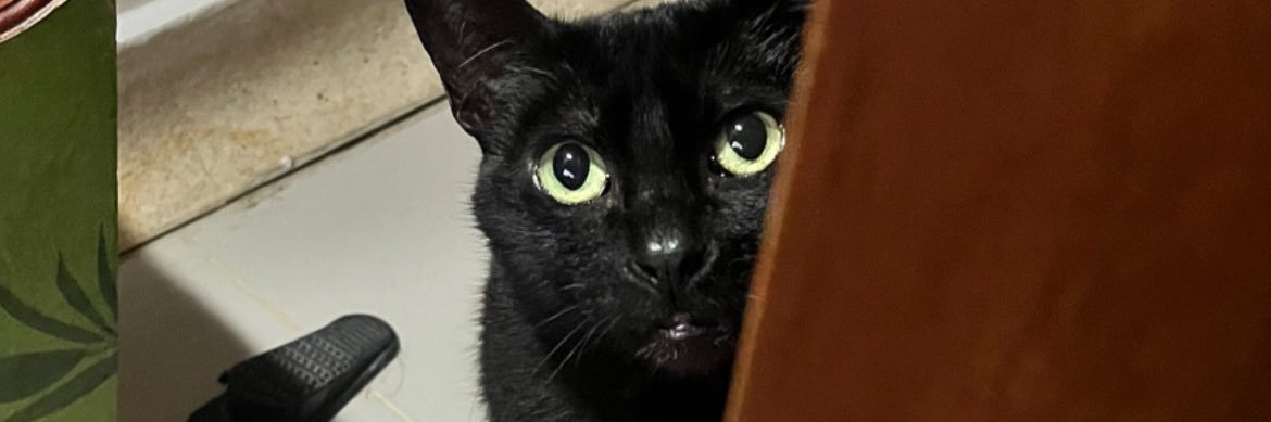 FlorezEstefania's profile banner image
