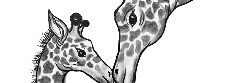 GALLERYBNOLA's profile banner image