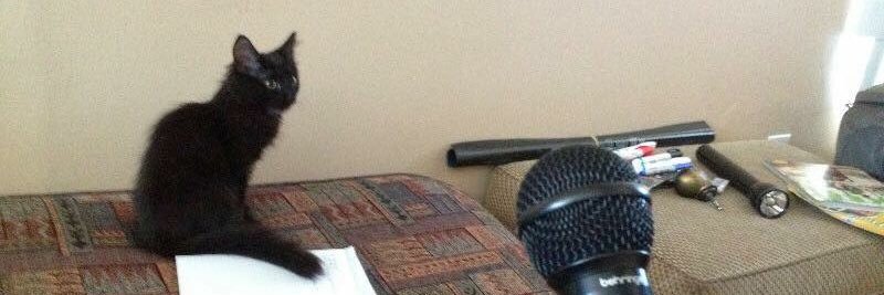 The Purrrcast banner