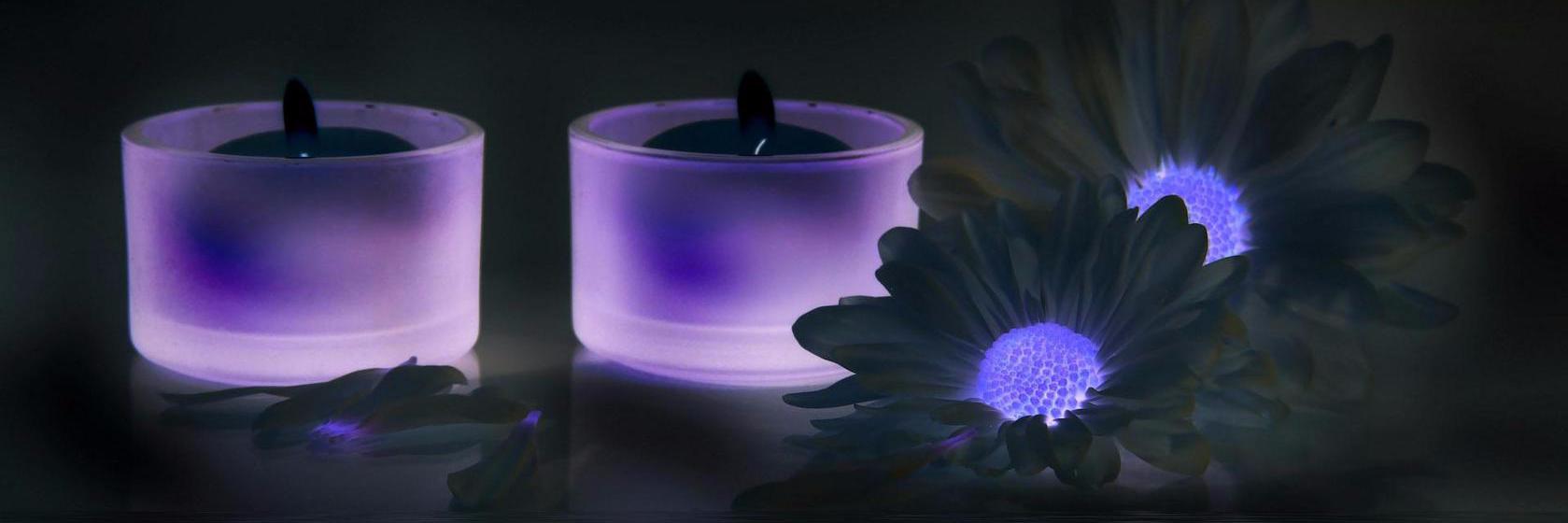 plumcandle's profile banner image
