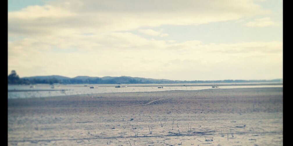danielacarter1's profile banner image