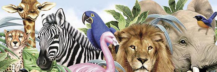 Uasananimal1's profile banner image