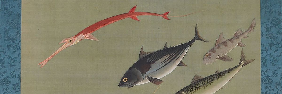 LikeTheVoid's profile banner image