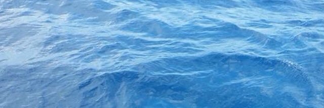 princesscarlyyy's profile banner image