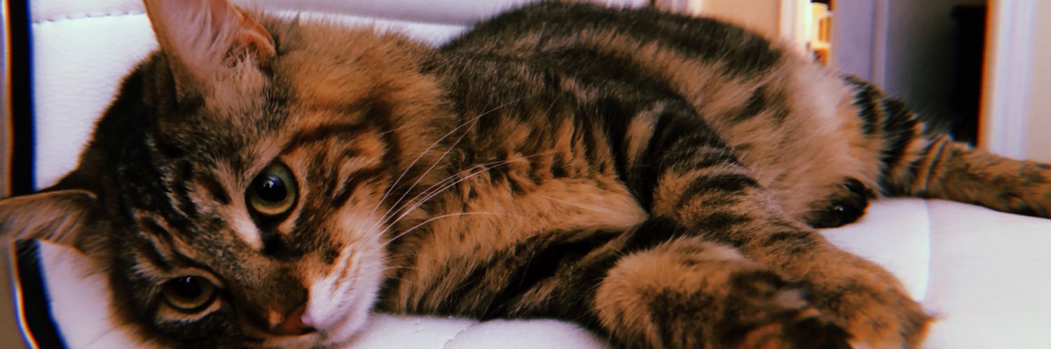 fernandoz13_'s profile banner image