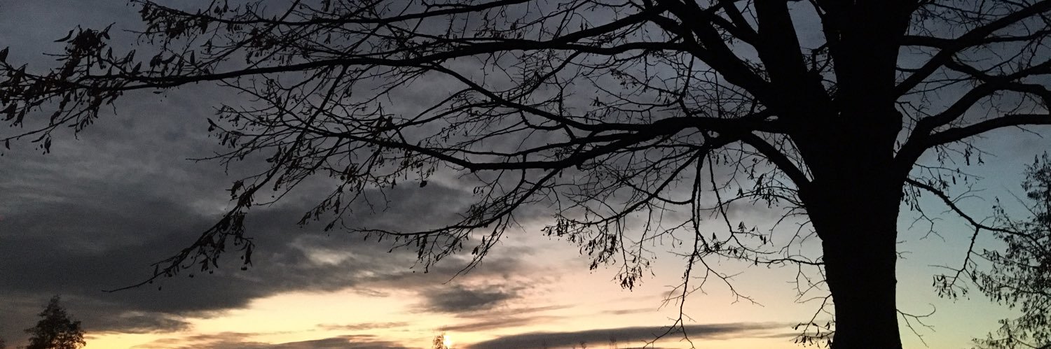 SallyF0STER's profile banner image