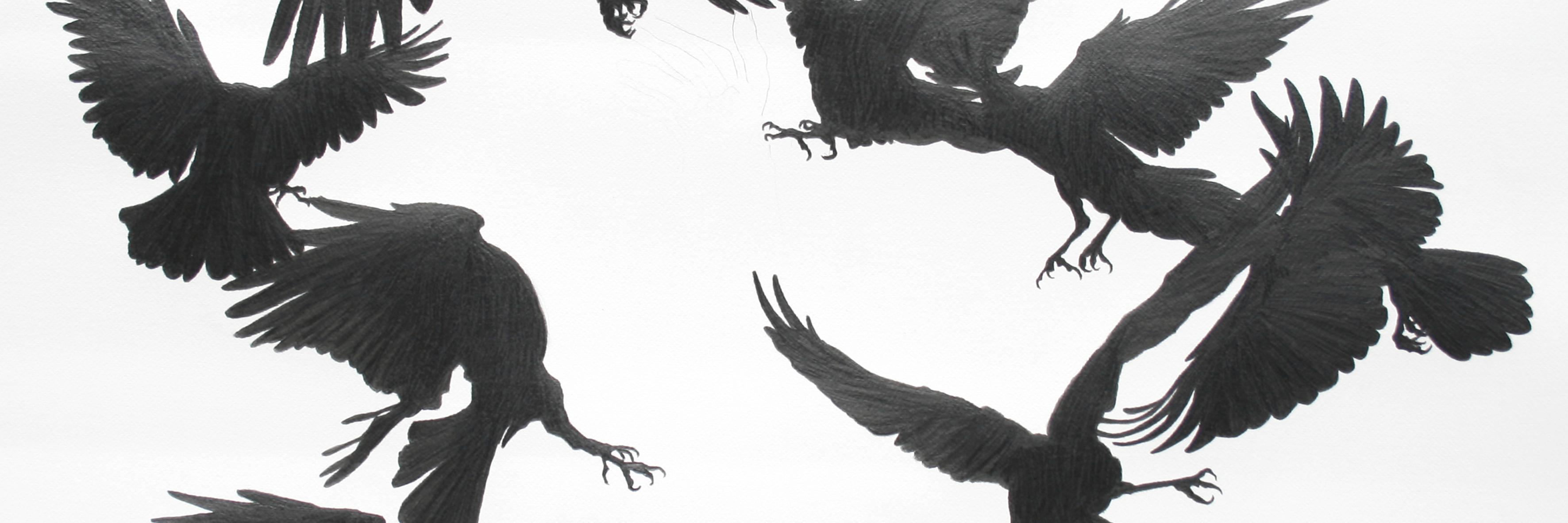 Ak_CrowK's profile banner image