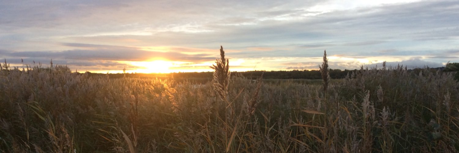 tweetato1's profile banner image