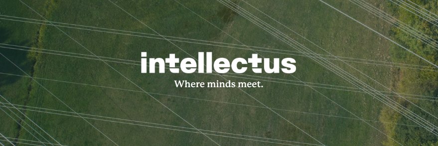 Intellectus Partners banner