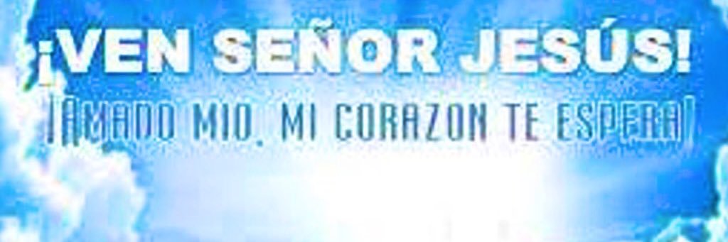 SANTIDAD A JESUCRISTO banner