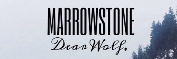 MarrowstoneUSA's profile banner image