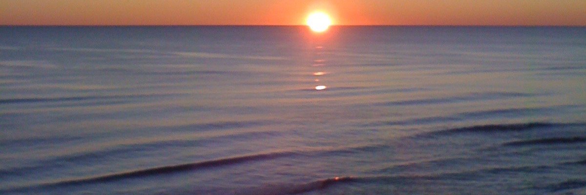 fish5578's profile banner image