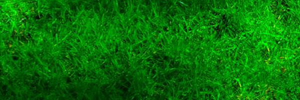 NSmsgs Profile Banner