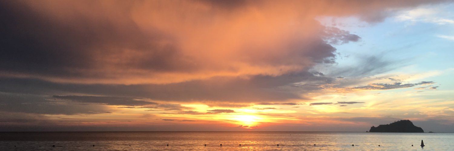 María Camila Consuegra banner