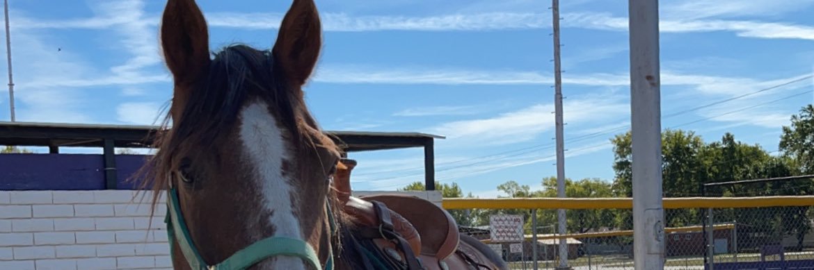 dawsonreed2's profile banner image
