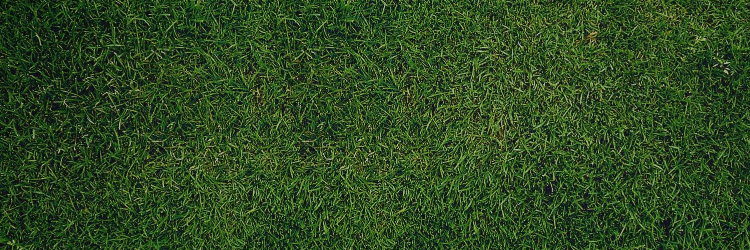 Reaccionfut's profile banner image