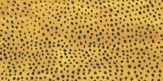 mjulietag's profile banner image