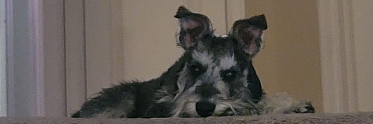 dragonp23's profile banner image