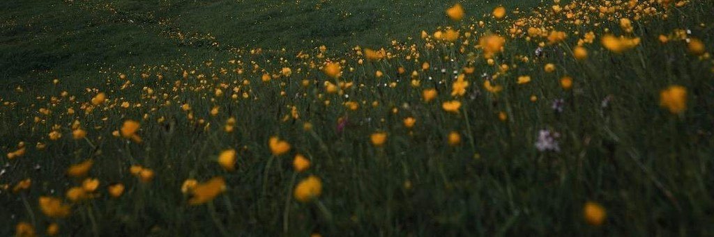 gabiiyeager's profile banner image