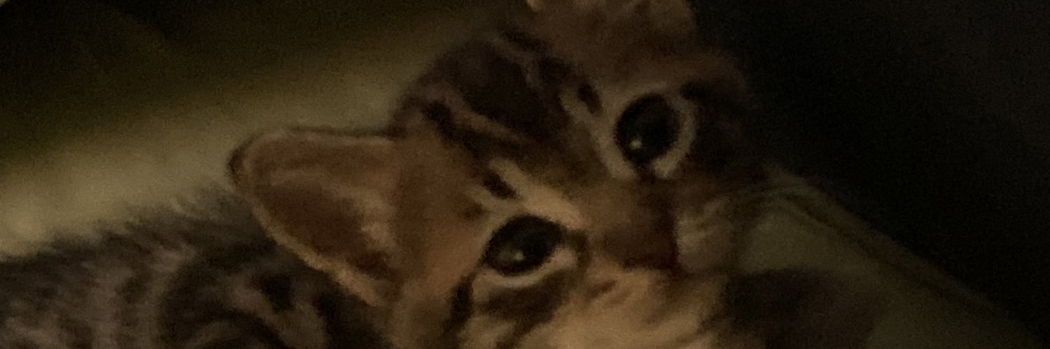 OLGA TSIMIDAKI 🐈‍⬛😾🧐⁉️'s banner