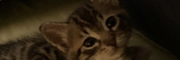 tsimidol Profile Banner