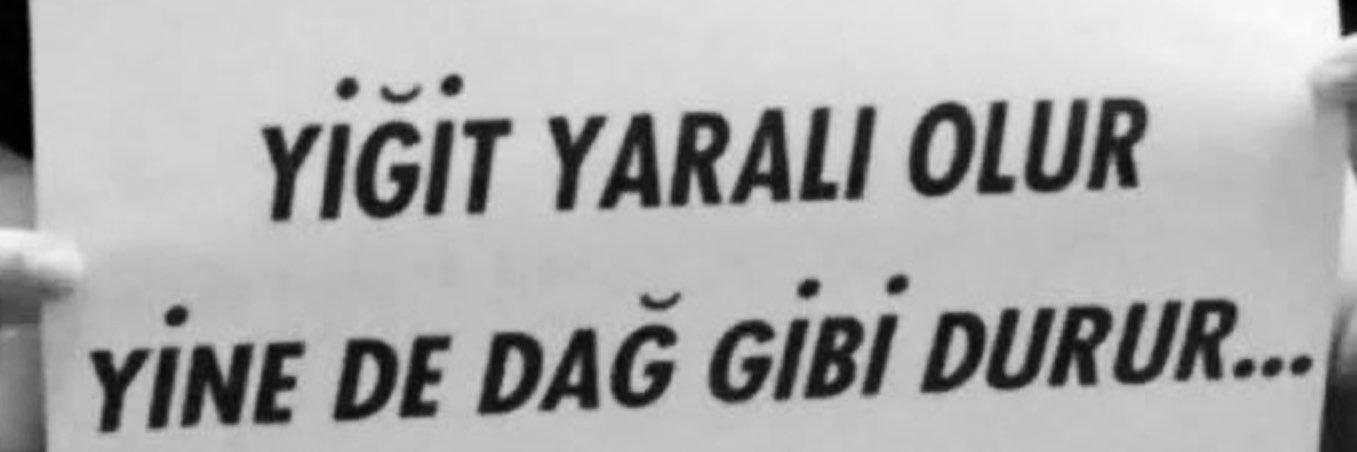 ymnebru's profile banner image