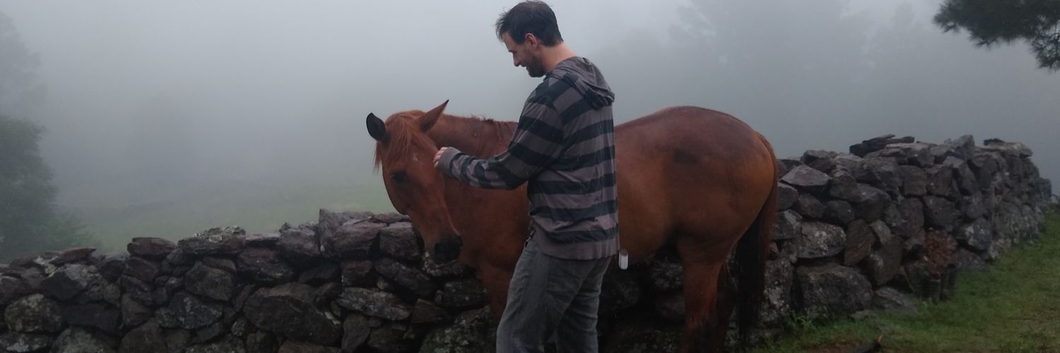 lchennales's profile banner image
