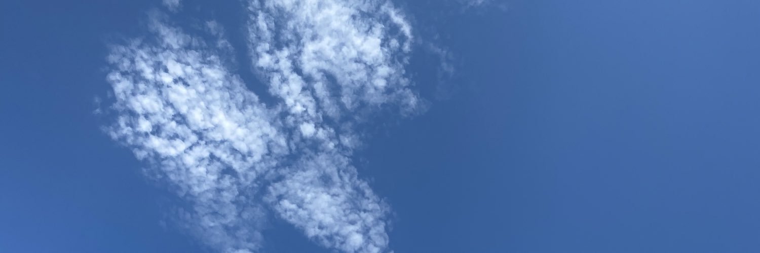 changster11's profile banner image