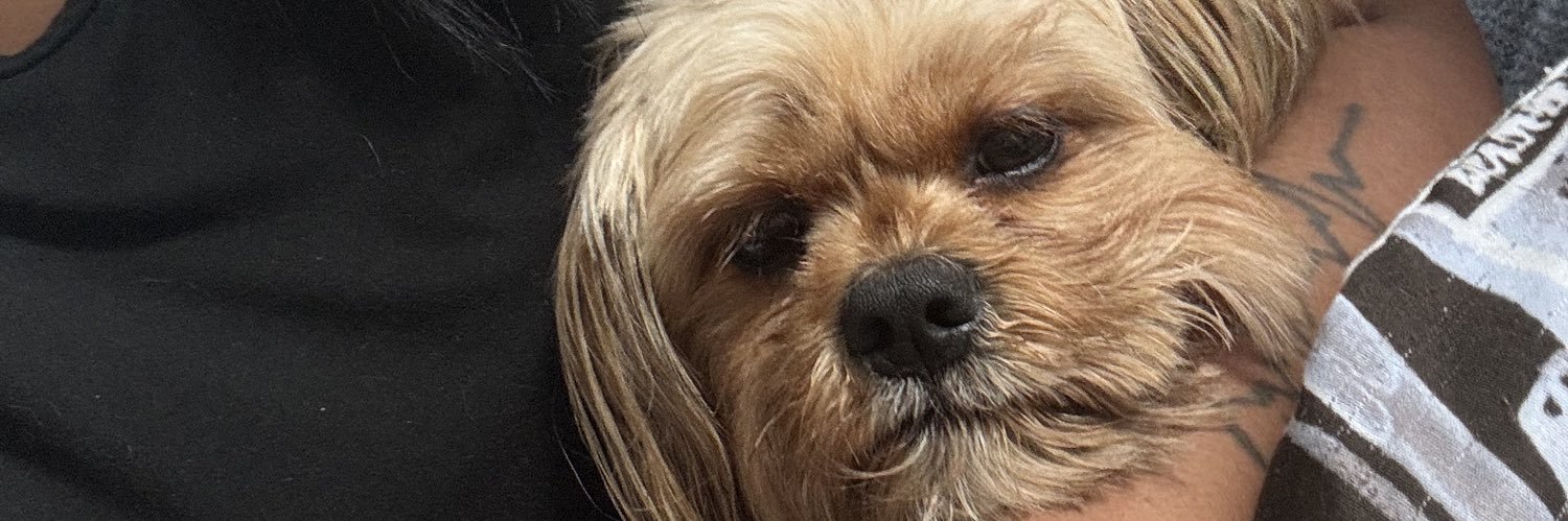 DesiraeDonald's profile banner image