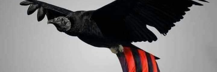 mateeusp5's profile banner image