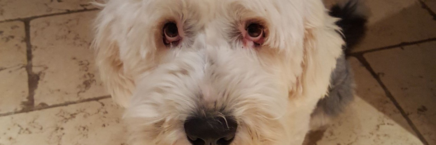 Vaponamat's profile banner image