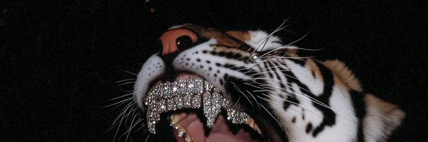 space_titties Profile Banner