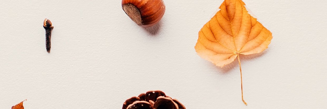 thejumokee's profile banner image